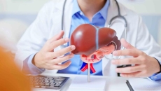 Doctor sitting down and holding a model of a liver