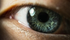 New AI captures the Indian concept of nine emotions called Navarasa